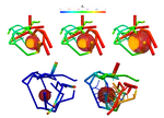 Modeling tumor growth, angiogenesis, drug-therapy, metastasis