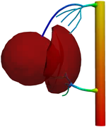 Angiogenesis3D1D